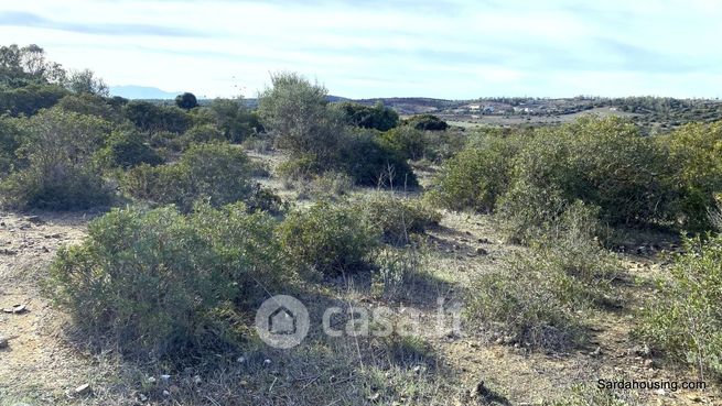 Terreno agricolo in commerciale in Strada senza nome