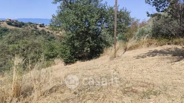 Terreno edificabile in residenziale in Strada Provinciale 248 di Luzzi