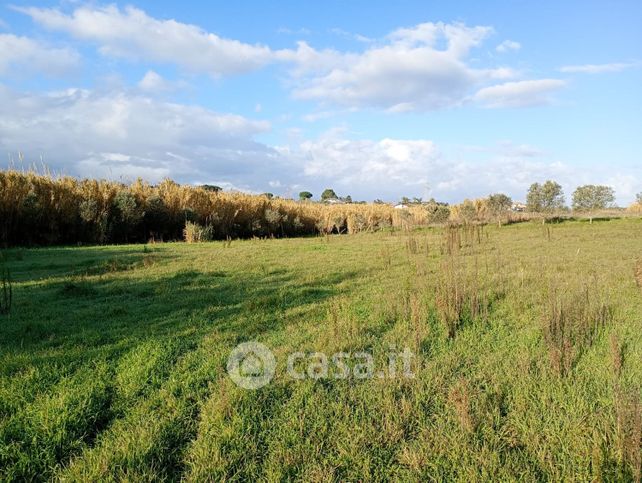 Terreno agricolo in commerciale in Strada Provinciale 17