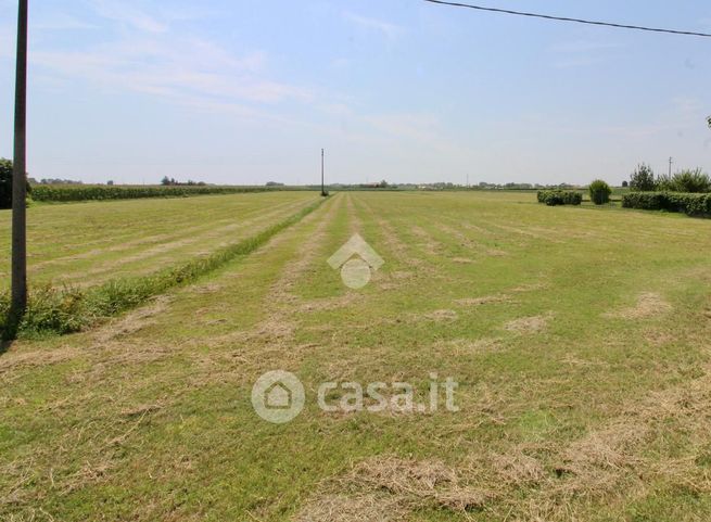 Terreno agricolo in commerciale in Via Riva dei Bragozzi 1