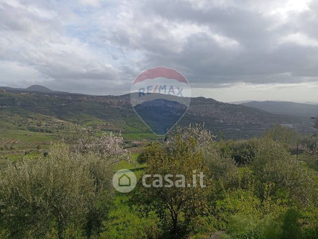 Terreno agricolo in commerciale in Contrada Corvo