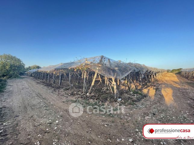 Terreno agricolo in commerciale in Contrada Castiello