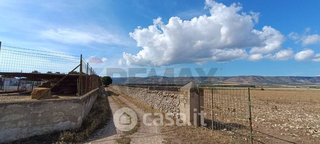 Terreno agricolo in commerciale in Contrada Bianca