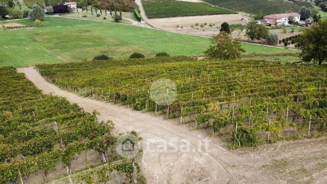 Terreno agricolo in commerciale in Via Gavelli