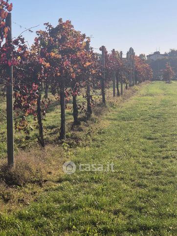 Terreno agricolo in commerciale in Via Mandrio 1 /F