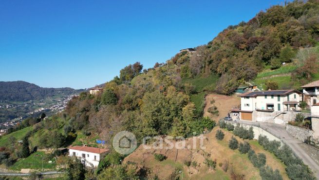 Terreno agricolo in commerciale in Vicolo Chinelli