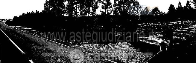 Terreno agricolo in commerciale in 
