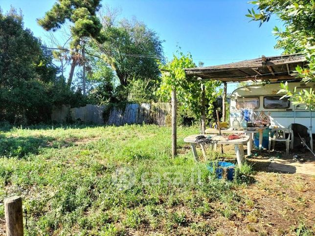 Terreno agricolo in commerciale in Giannella 4