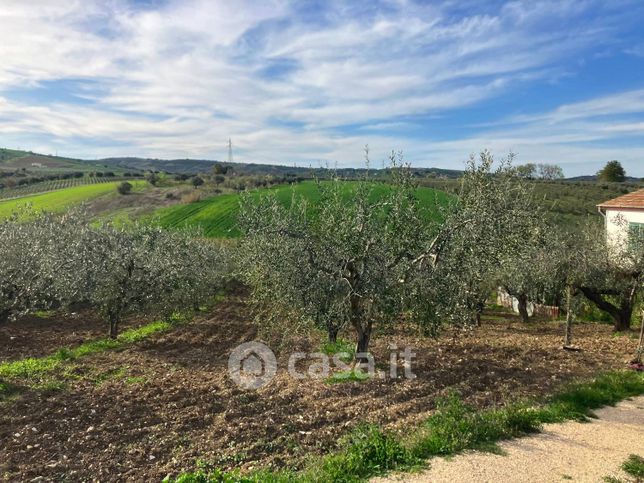 Terreno agricolo in commerciale in Via Maiella