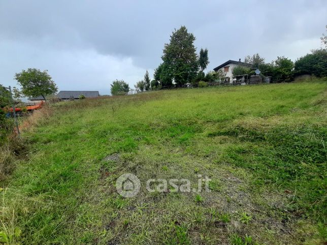 Terreno edificabile in residenziale in Località Roncole