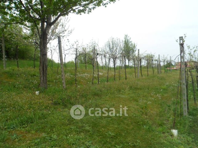 Terreno edificabile in residenziale in Via Canove