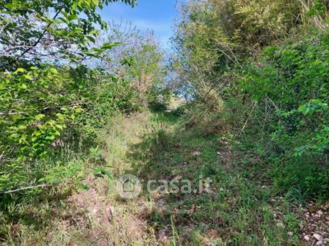 Terreno agricolo in commerciale in Strada Statale 16 Adriatica