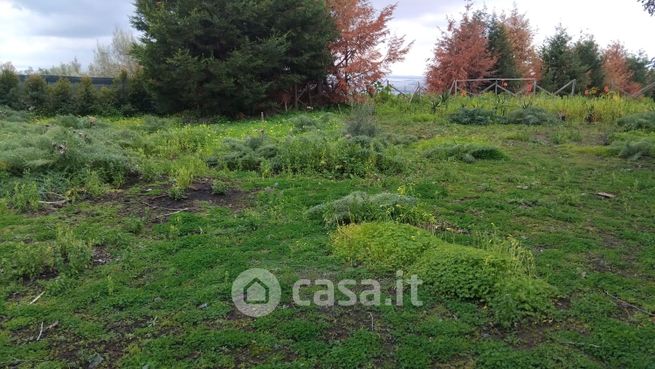 Terreno agricolo in commerciale in Belpasso