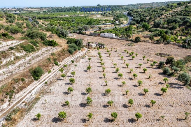 Terreno agricolo in commerciale in Via Angelo Cavarra