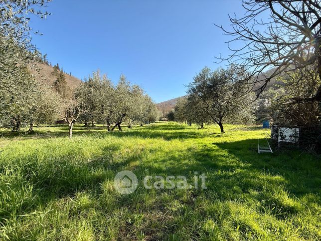 Terreno agricolo in commerciale in Via di Signorina