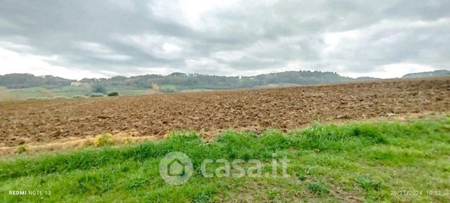 Terreno agricolo in commerciale in Contrada San Savino 69