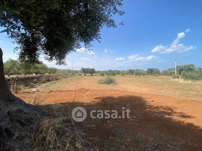Terreno agricolo in commerciale in Torre Canne 12