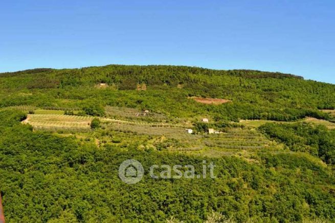 Terreno agricolo in commerciale in Corso Cesare Battisti