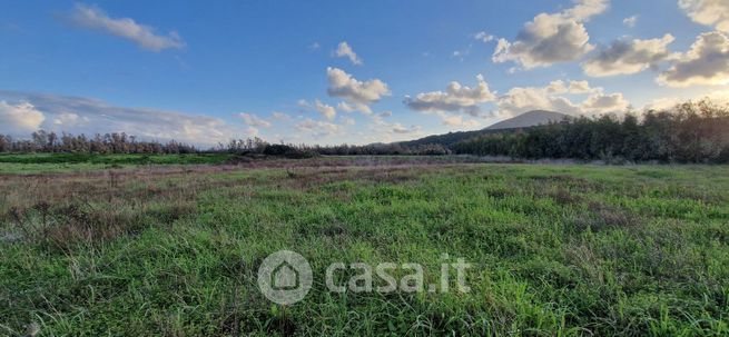 Terreno agricolo in commerciale in REGIONE MONTE SISERI