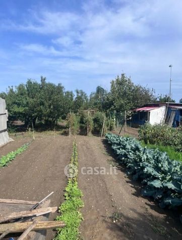 Terreno agricolo in commerciale in Via Alicudi