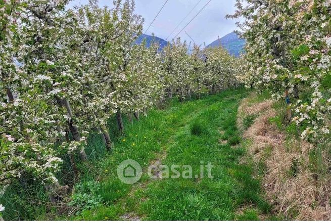 Terreno agricolo in commerciale in Strada Statale 40