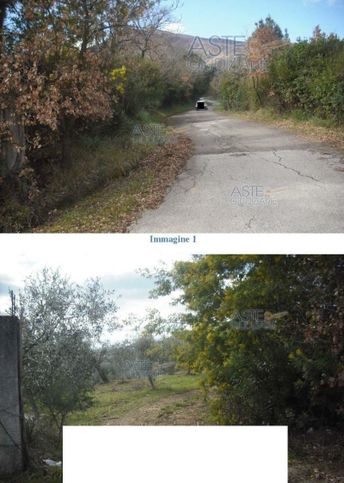 Terreno agricolo in commerciale in Località Montagna- Orto del Mulino, Omignano (SA)