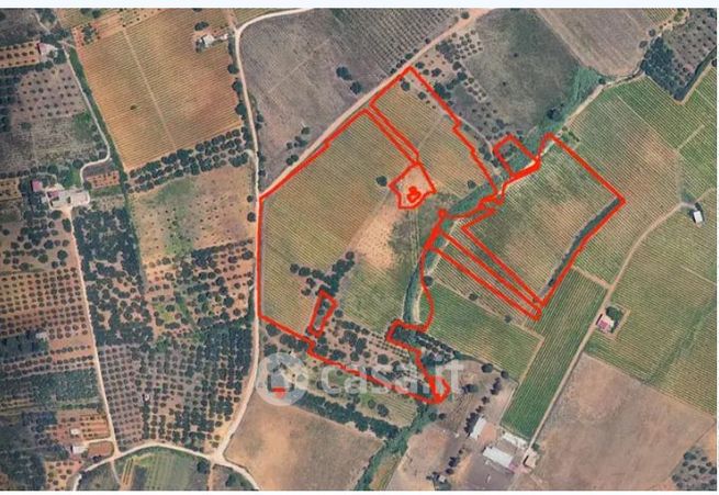 Terreno agricolo in commerciale in Contrada Ramo