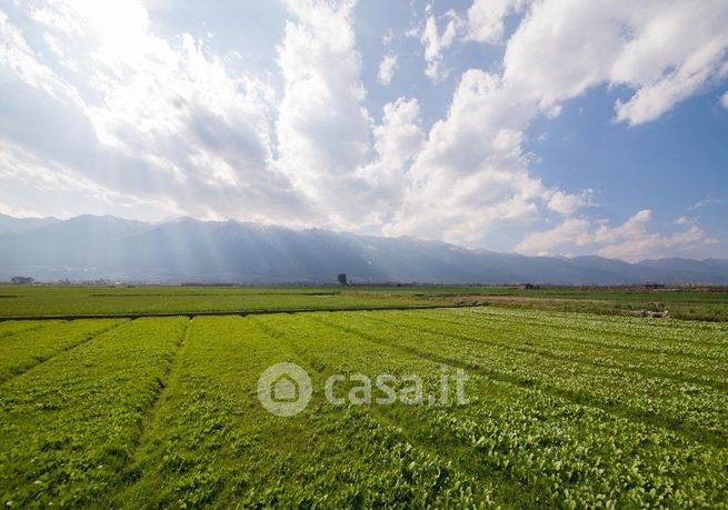 Terreno agricolo in commerciale in Via Adolfo Consolini