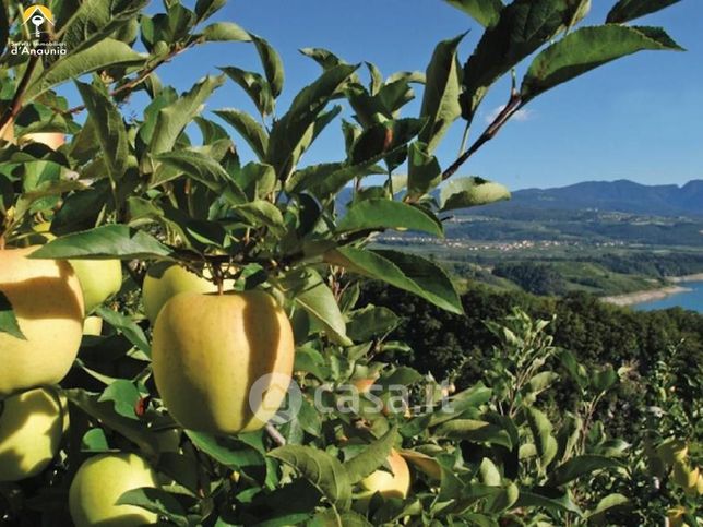 Terreno agricolo in commerciale in 