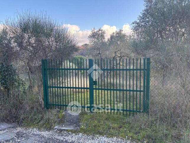 Terreno agricolo in commerciale in Via San Polo