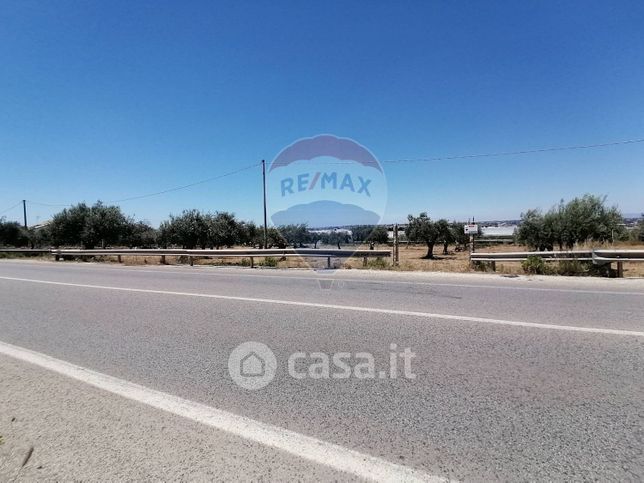 Terreno agricolo in commerciale in Strada Provinciale 20