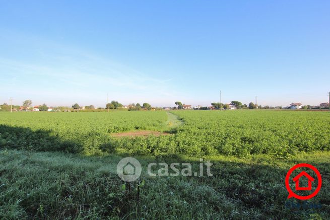 Terreno agricolo in commerciale in Via Mariana