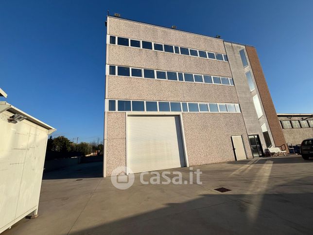 Capannone in commerciale in Viale della Riserva I' Tronco