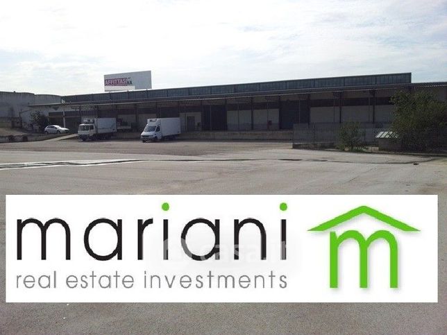 Capannone in commerciale in Viadotto San Cesareo