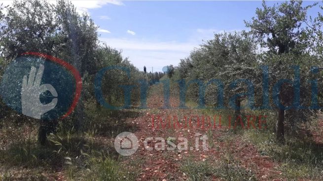 Terreno agricolo in commerciale in Piazza della Repubblica