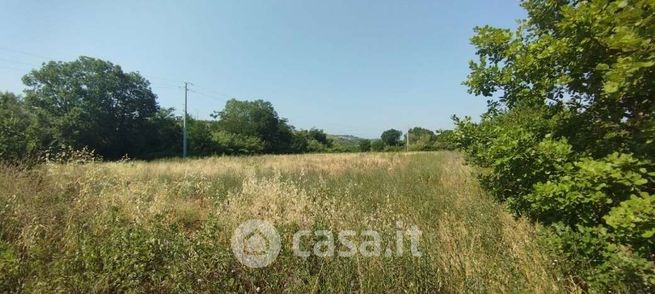 Terreno agricolo in commerciale in Via Filetto