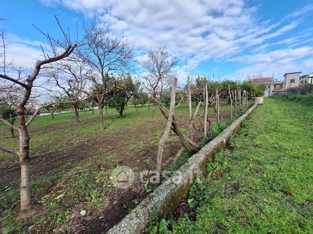 Terreno agricolo in commerciale in Via Castello Troiano