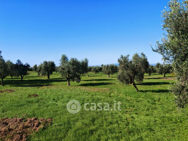 Casa indipendente in residenziale in Strada Provinciale Laghi 100