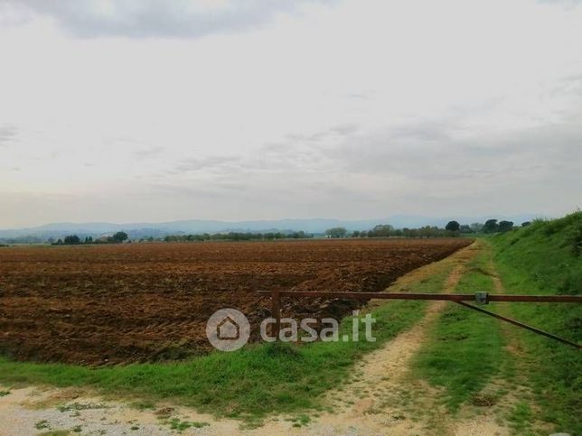 Terreno agricolo in commerciale in 