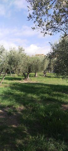 Terreno agricolo in commerciale in Via del Carmine