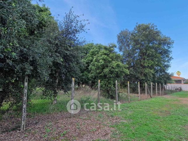 Terreno agricolo in commerciale in Via di Cavallo Morto 33