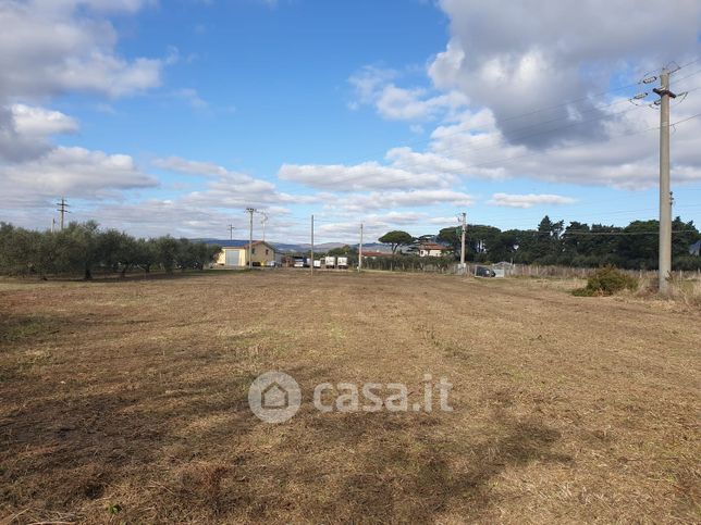 Terreno agricolo in commerciale in Via di Zambra