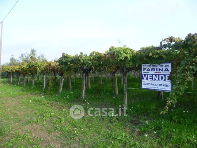 Terreno agricolo in commerciale in Contrada Sciutico