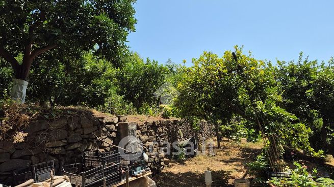 Terreno agricolo in commerciale in Via Cisternazza 1