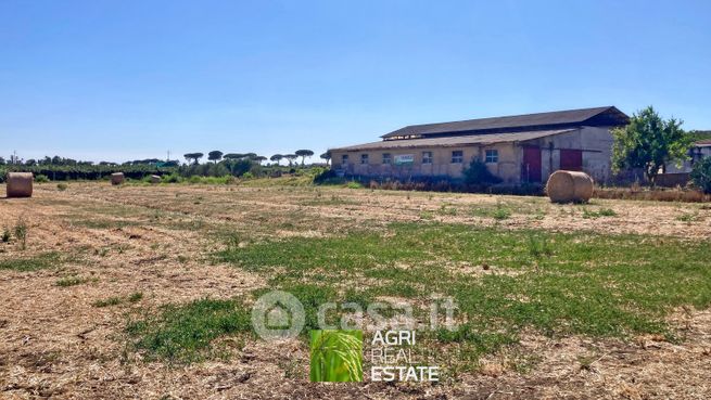 Terreno agricolo in commerciale in Strada Pratalone