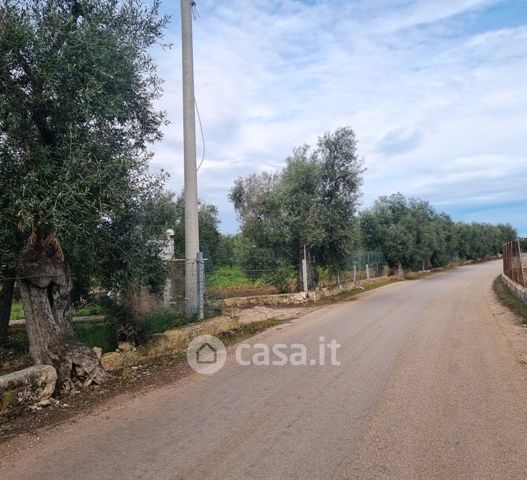 Terreno agricolo in commerciale in Carrara Stradelle