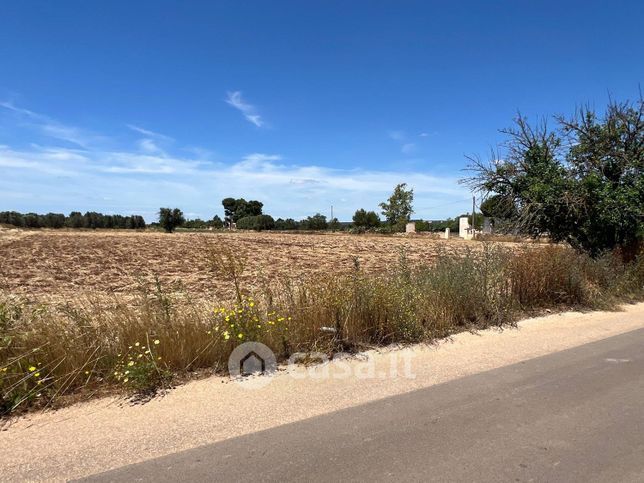 Terreno agricolo in commerciale in Via delle Tuberose 81