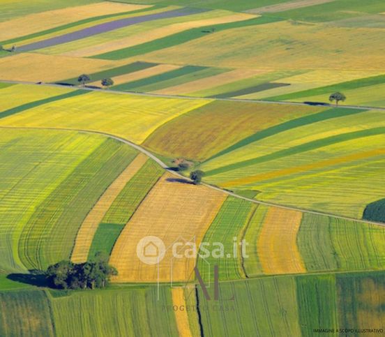 Terreno agricolo in commerciale in Via Ca' Cirillo