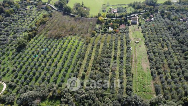 Terreno agricolo in commerciale in Via Pantani