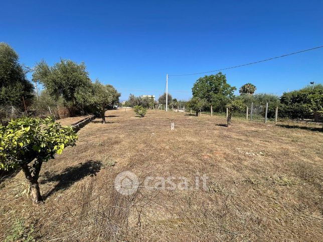 Terreno agricolo in commerciale in Strada Statale 113 Settentrionale Sicula 187